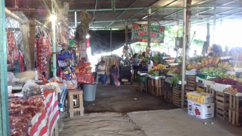 Buscan estar legales locatarios de mercado “Los Cerritos”
