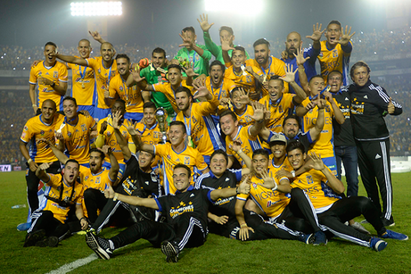 Resultado de imagen para tigres campeón