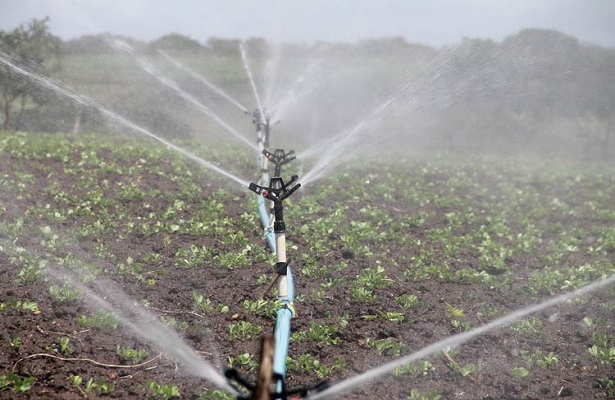 El suelo y el agua son fundamentales para el desarrollo del sector agropecuario, por ello la importancia de evaluar la calidad y factibilidad de ambos factores con la finalidad de garantizar la subsistencia alimentaria.