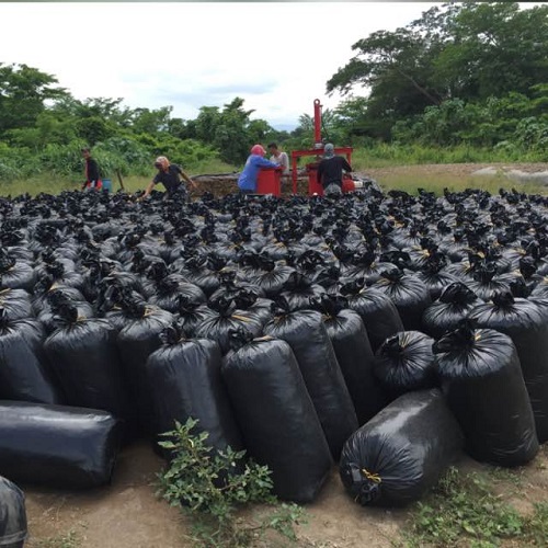 Ensilaje en bolsas plásticas se presenta como una alternativa viable para pequeños productores.