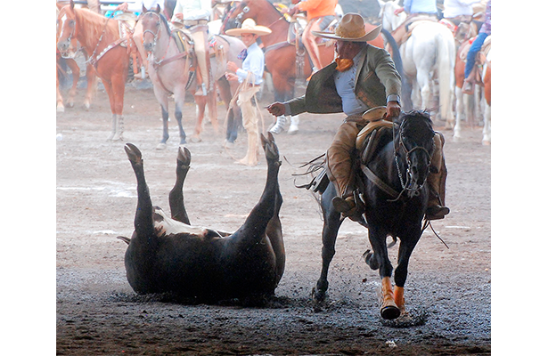 Equipos queretanos buscarán campeonato en el Circuito Centro-Bajío de Charrería