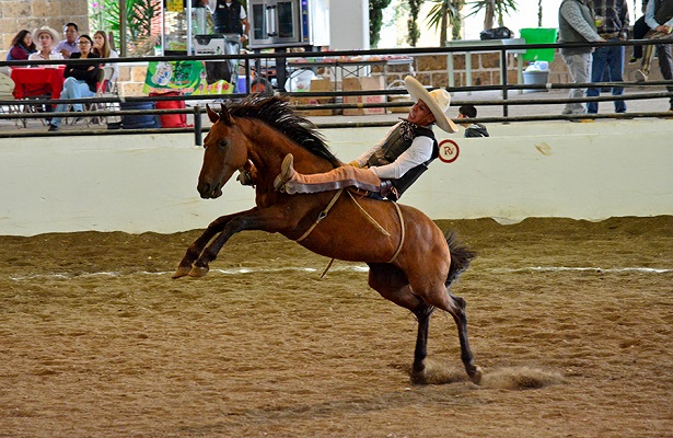 Las buenas ejecuciones en cada una de las suertes, han sido constantes en el Torneo Charro de Feria en Nopala, Hidalgo donde los queretanos Tres Ases “Villa Oro” son líderes.