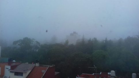 Asi está Xalapa esta mañana, con lluvia pertinaz y neblina cerrada.