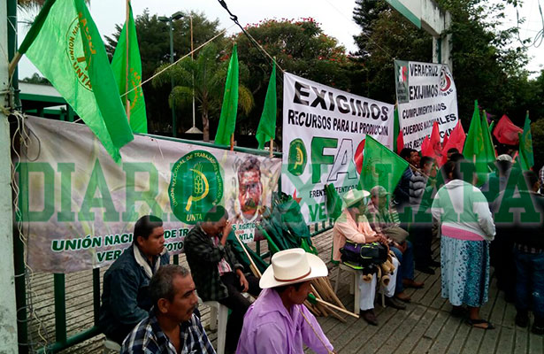 Campesinos toman las oficinas de Sagarpa Campesinos toman las oficinas de Sagarpa