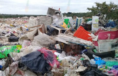 Debemos reflexionar y sumarnos a las acciones que ayuden a revertir el daño ambiental.