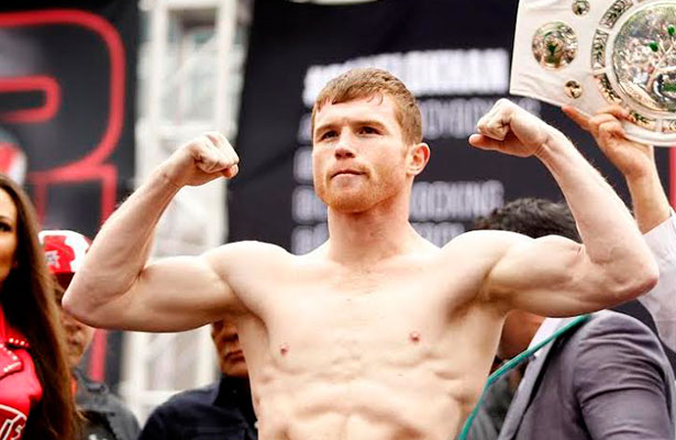 Nota-Box-Canelo-