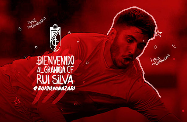 Rui-Silva