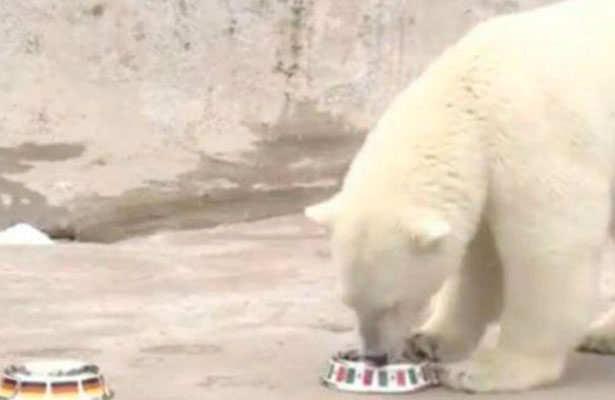 Nota-Fut-Osa-Polar-