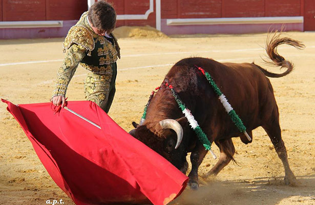 nota-toros-llaguno