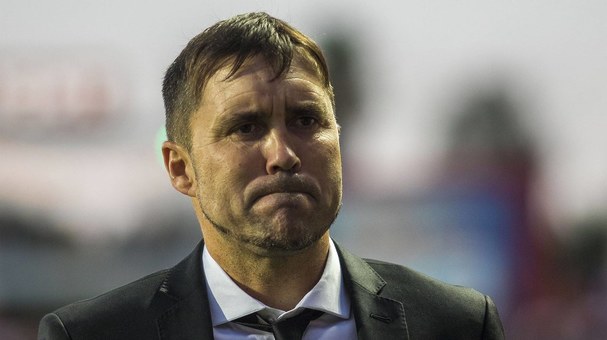 coudet-xolos