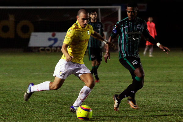 Venados