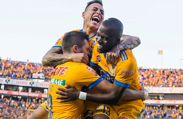 valencia vargas gignac