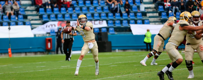 pumas-cu