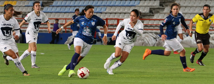 nota-pumas