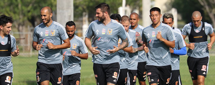 Tigres