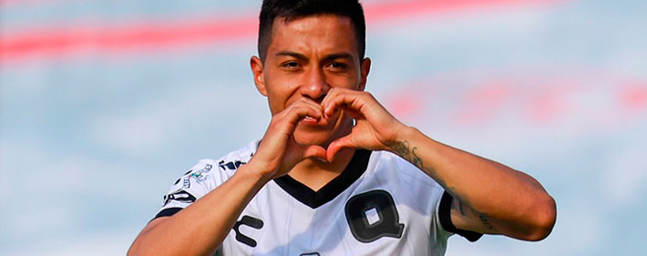 Gallos Blancos