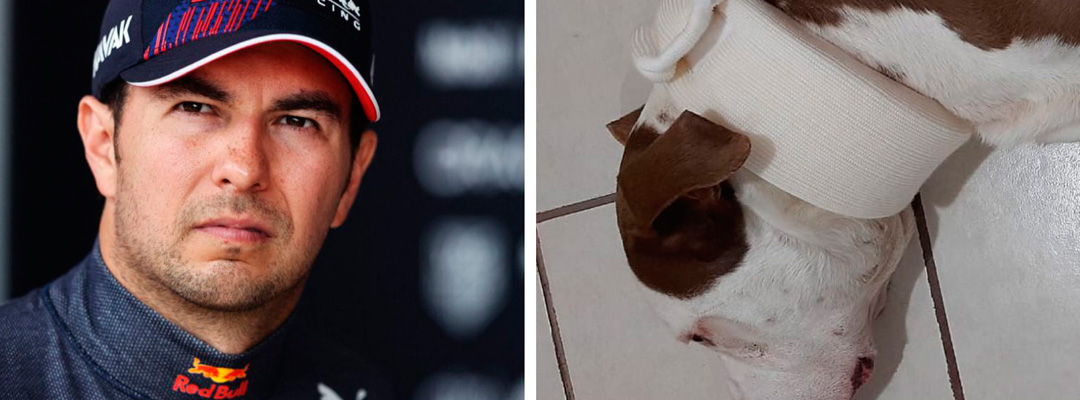 Gorra-de-Checo-Pérez-será-subastada-para-ayudar-a-un-perrit