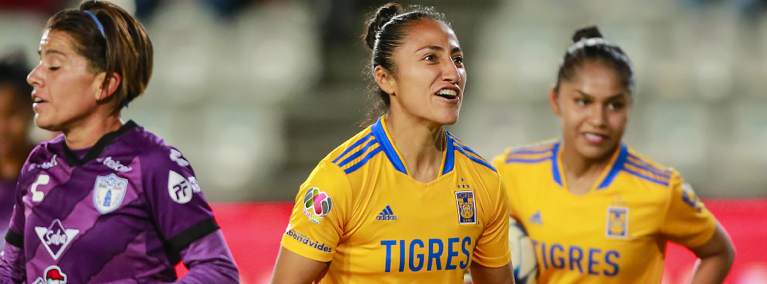 Tigres