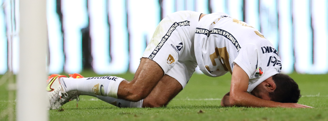 pumas