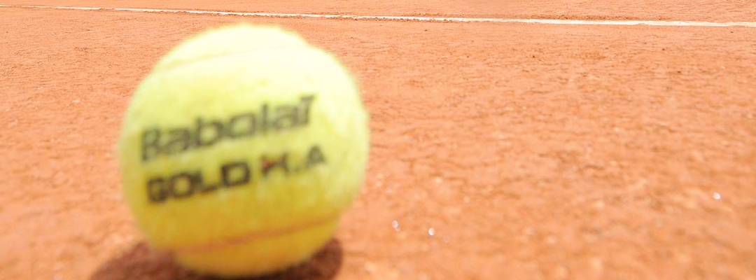 Tenis