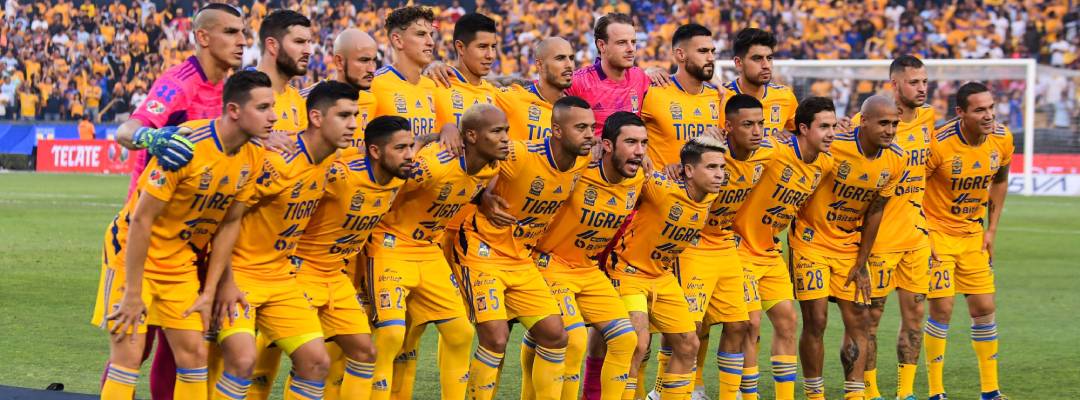 que necesita tigres finalk