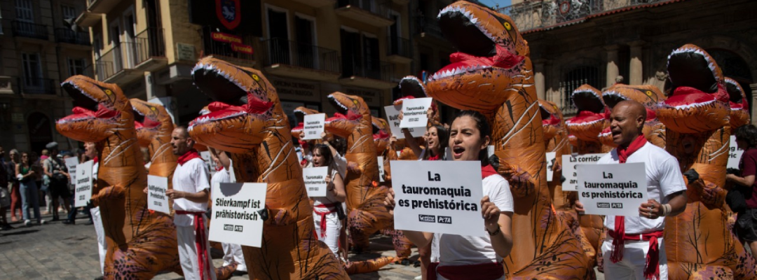 Nuevo proyecto - 2022-07-05T143053.205