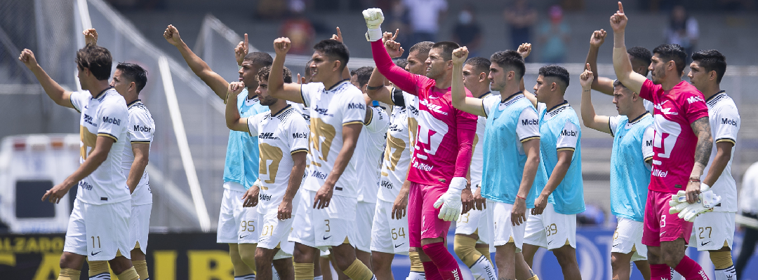 pumas