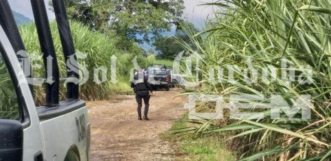 Encuentran tres cuerpos sin vida entre cañales