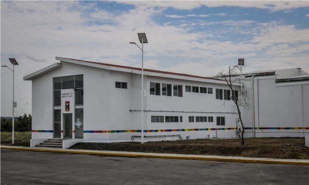 Funciona rastro TIF aún sin haber sido inaugurado