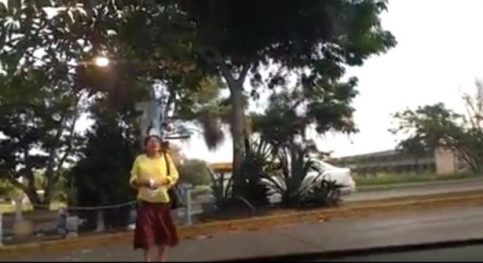 Diócesis de Tampico demandará por daños a la pintura de la Virgen Diócesis de Tampico demandará por daños a la pintura de la Virgen