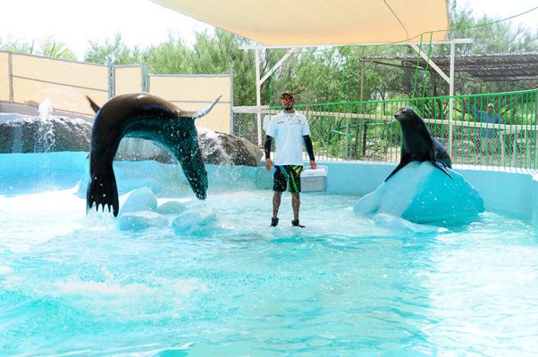 show de animales en el Delfinario Sonora