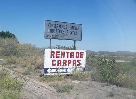 Resultado de imagen para carpas en bahia de kino