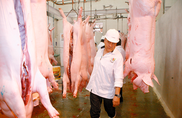 Aumentará consumo de carne de cerdo
