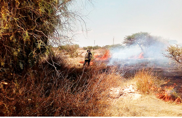 Hallan responsable de incendio