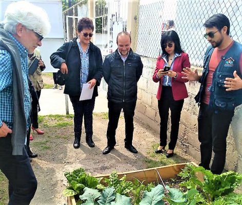 Escuelas verdes en Mineral de la Reforma
