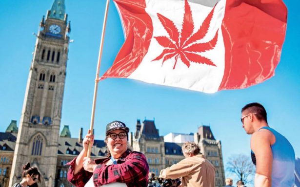 Senado de Canadá confirma la legalización de la marihuana