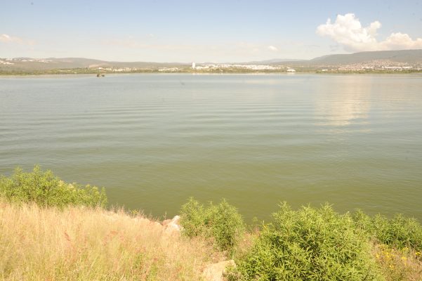 Parque Metropolitano busca certificarse con World Urban Parks