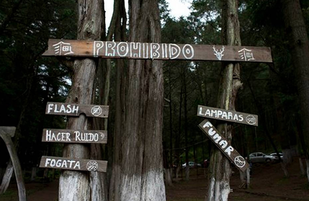 Foto: AP