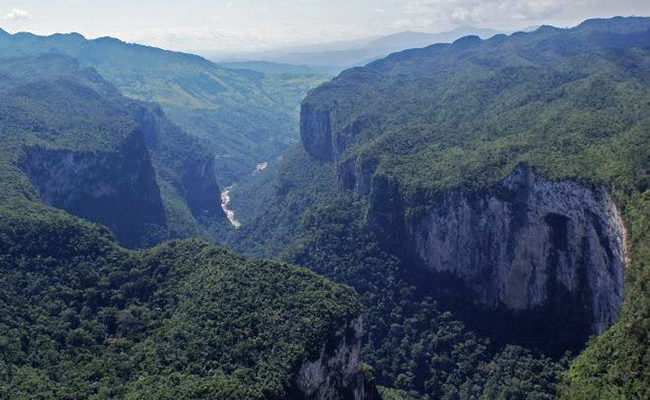 Selva “El Ocote” cumple 16 años como reserva de la biósfera - El Sol de México
