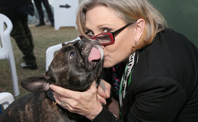 Gary y Carrie durante cuatro años fueron los mejores amigos Foto: Twitter @Gary_TheDog