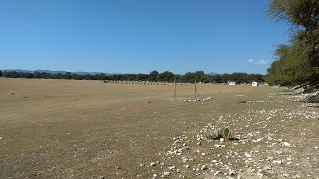 Esta será la nueva sede / Foto: El Sol de San Luis