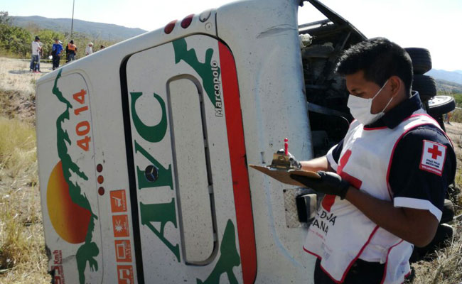 Foto: Diario del Sur