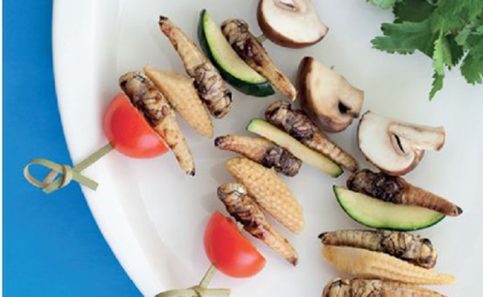 BROCHETA DE saltamontes.