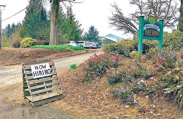 “Estamos contratando”, dice el letrero en este sitio ubicado adelante de Brooks Tree Farm, cerca de Salem, Oregon, donde agricultores, criaderos, dueños de bodegas y otros que dependen de la mano de obra inmigrante, están prediciendo una catástrofe, mientras agentes federales de inmigración se centran en intensificar las detenciones de personas que están ilegalmente en Estados Unidos.