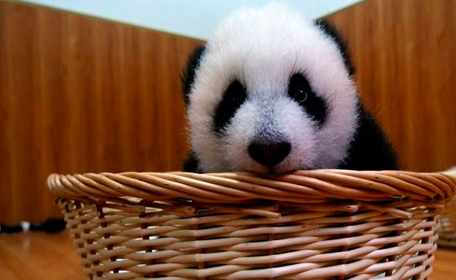 Foto: Especial