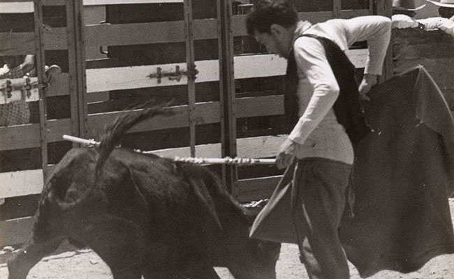 EL COMEDIANTE tenía un criadero de toros en su hacienda La Purísima
