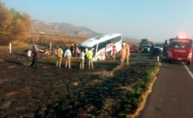Se accidenta toda una familia de Chihuahua en viaje Se accidenta toda una familia de Chihuahua en viaje