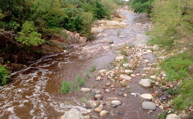 Foto: El Heraldo de Chiapas