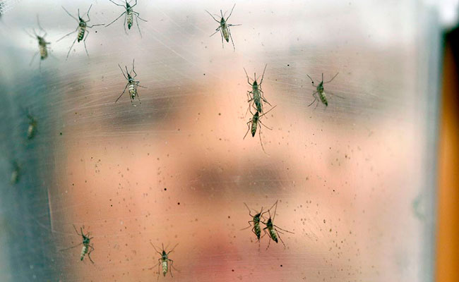 Foto: AP