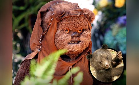 Foto: livescience.com